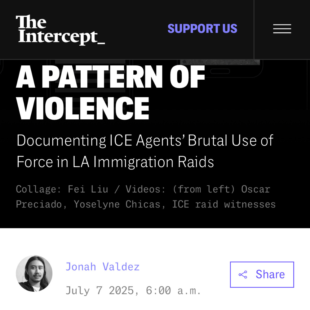 Violent Arrests by Masked Agents: A Summary of The Intercept Magazine Report